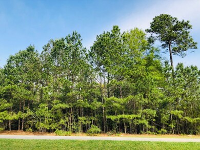 27319 E Benders Landing Blvd, Spring, TX 77386 - photo 3