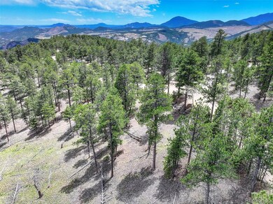 54 Holmes Gulch Rd, Bailey, CO 80421 - photo 6