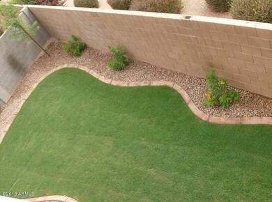 pearl backyard1