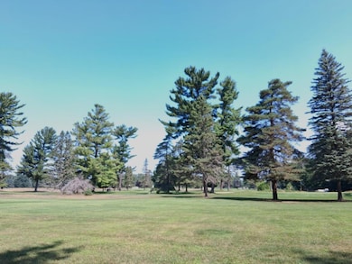 Lot 21 W Nestel Rd, Houghton Lake, MI 48651 - photo 2