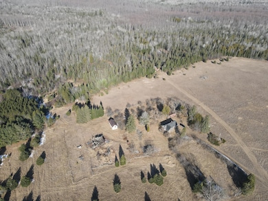 14246 County Road 441, Posen, MI 49776 - photo 7