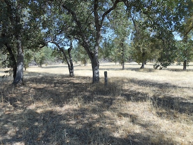 Boyle road 009