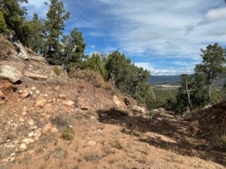 Tracts D1, D2-A, D2- Dragonfly Canyon Rd, Rowe, NM 87562 - photo 2