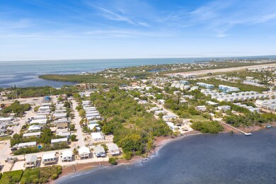 Aerial Overview
