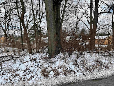 TBD Moyer Ave, Elkhart, IN 46516 - photo 2