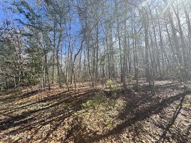 0 N Laurel Loop unit RTC2962883, Monterey, TN 38574 - photo 7