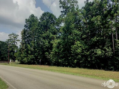 0 Pelican St unit 46315191, Magnolia, TX 77355 - photo 2