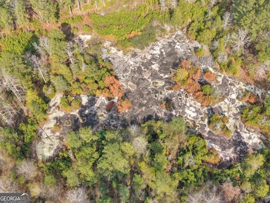 481 Turner Rd, Concord, GA 30206 - photo 6