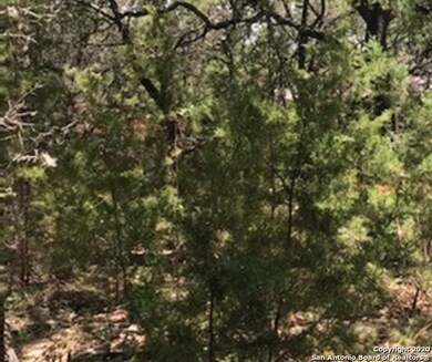 8606 Classic Oaks Ln, San Antonio, TX 78255 - photo 3