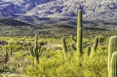 IMG_9999_257_edit