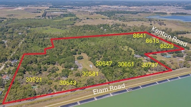 30737 Elam Rd, Wesley Chapel, FL 33545 - photo 5