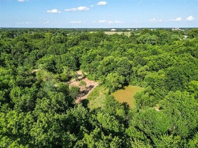 Drone / aerial view of a forest