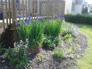 Yard/Garden
