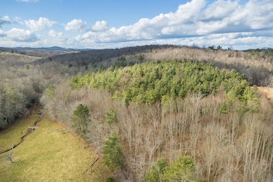 48 Acres R-Way Dr, Hillsville, VA 24343 - photo 5