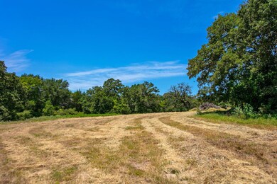 1755 Pleasant Hill Rd, Bryan, TX 77807 - photo 6