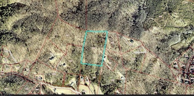 Bob Barnwell Rd, Fletcher, NC 28732 - photo 6