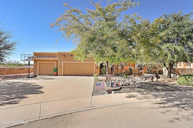 3910 Shady Brook Ct, Las Cruces, NM 88005 - photo 2