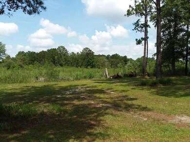 Poverty Creek 2 - Copy (2)