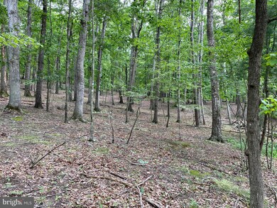 950 Oak Forest Ln, Berkeley Springs, WV 25411 - photo 4