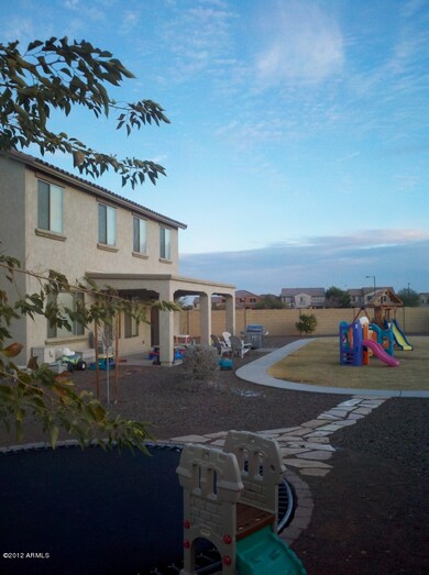 Backyard 4