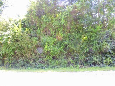 0 Sword Ln unit TRACT 1 20001321, Big Rock Township, AR 72223 - photo 3