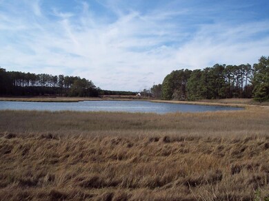 Lot #15 Metompkin Rd unit 15, Parksley, VA 23421 - photo 6