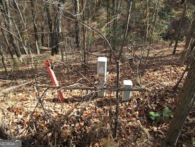 136 Lakeview Way, Baldwin, GA 30511 - photo 3