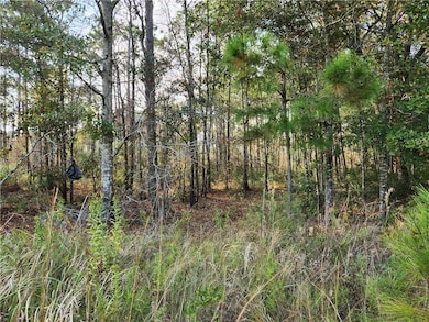 0 Dauphin Island Pkwy unit 7684967, Coden, AL 36523 - photo 3