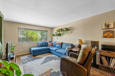 2921 Richard Dr, Durango, CO 81301 - photo 7