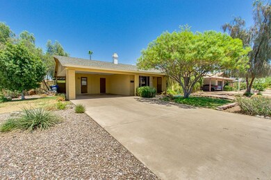 03-Del Oro