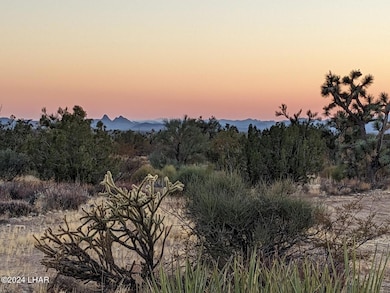 2624 S Gold Mine Rd, Yucca, AZ 86438 - photo 4