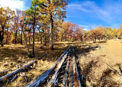 unlisted-address, Hayfork, CA 96041 - photo 2