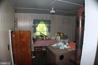 1269 Dickenson Mountain Rd, Franklin, WV 26807 - photo 2