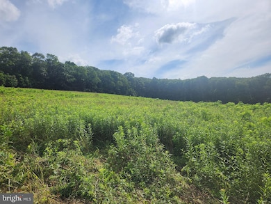 Adj 157 Thomas Rd, West St. Clair Township, PA 15521 - photo 6