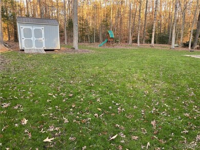 Back yard