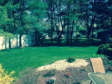 backyard pict