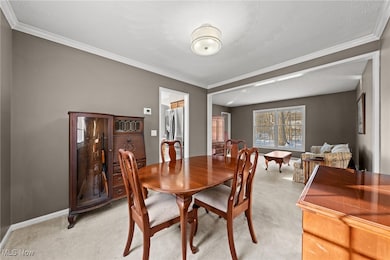 9201 Old Meadow Dr, Chagrin Falls, OH 44023 - photo 5