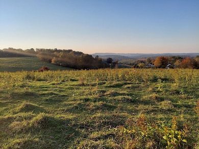 48.5 Acres Owl Hole Gap Rd, Rutledge, TN 37861 - photo 4