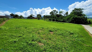 111 Carr Prairie, San Sebastián, PR 00685 - photo 4