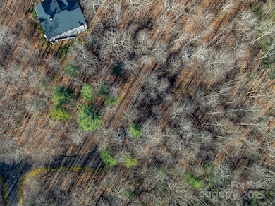 TBD Ladys Fern Trail unit 10, Laurel Park, NC 28739 - photo 2