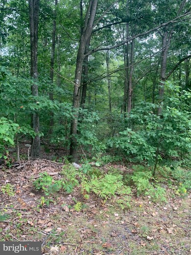 0 Germanville Rd, Ashland, PA 17921 - photo 4