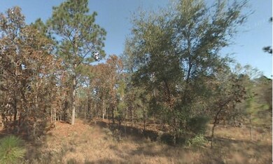 0 SW 19th Place unit MFRA4672977, Ocala, FL 34481 - photo 3