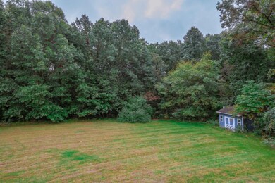 rear yard