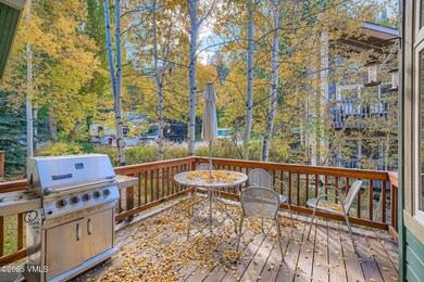 2772 Kinnikinnick Rd unit C, Vail, CO 81657 - photo 5