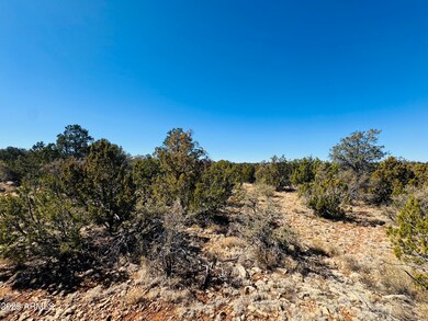 4108 Sunset Ridge Loop unit 135, Happy Jack, AZ 86024 - photo 2
