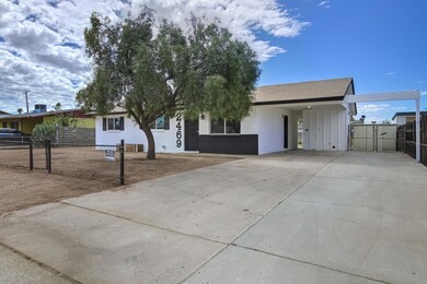 2469 W Cactus Wren St-1