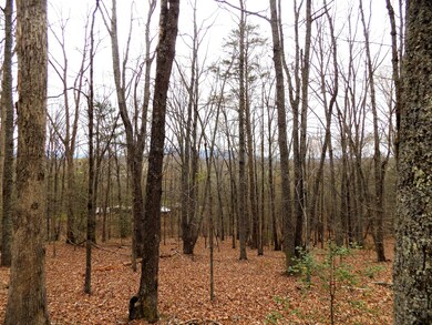 Wooded Acreage