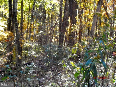 18 Axton Ln, Linden, VA 22642 - photo 5