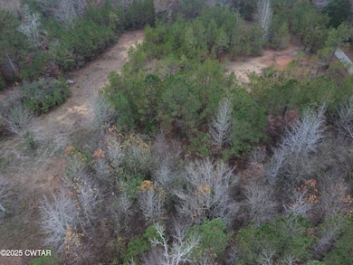 00 Duck Ln, Scotts Hill, TN 38329 - photo 3