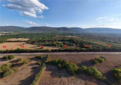 Tract 1 Us Highway 271, Tuskahoma, OK 74574 - photo 6